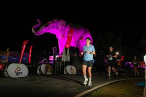 BIB: 
                            <button type="button" onclick="openModal(26533988)" class="btn btn-primary btn-sm float-right btn-popup" data-toggle="modal" data-target=".modal-high-quality">
                        <i class="fas fa-shopping-cart"></i> Add to Cart
                    </button>
                                            <button type="button" onclick="isThisMe(26533988, true)" class="btn btn-success btn-sm float-right btn-popup btn-isme hidden" data-toggle="tooltip" data-placement="bottom" title="นี่คือรูปของคุณใช่ไหม คลิกที่นี่เพื่อเอาเข้าอัลบั้ม">
                        <i class="fas fa-plus"></i> Add to album
                    </button>
                    <button type="button" onclick="isThisMe(26533988, false)" class="btn btn-warning btn-sm float-right btn-popup btn-isnotme hidden">
                        <i class="fas fa-ban"></i> Remove from album
                    </button>